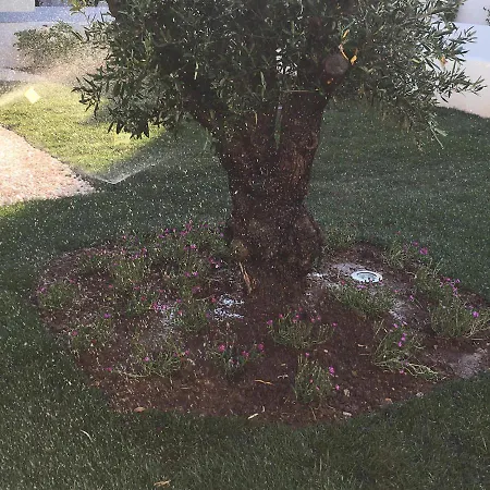 La Casa Di Francesca B&B 4*