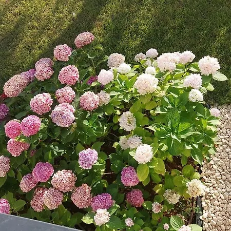 לינה וארוחת בוקר La Casa Di Francesca 4*