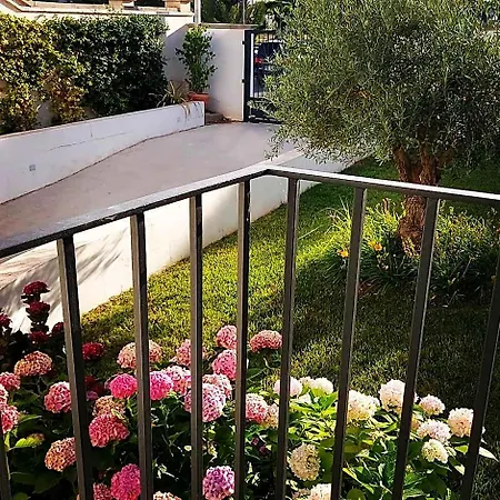 La Casa Di Francesca Bed & Breakfast